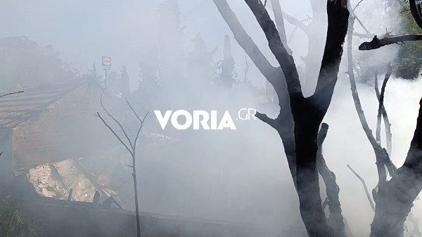voria-1.jpg