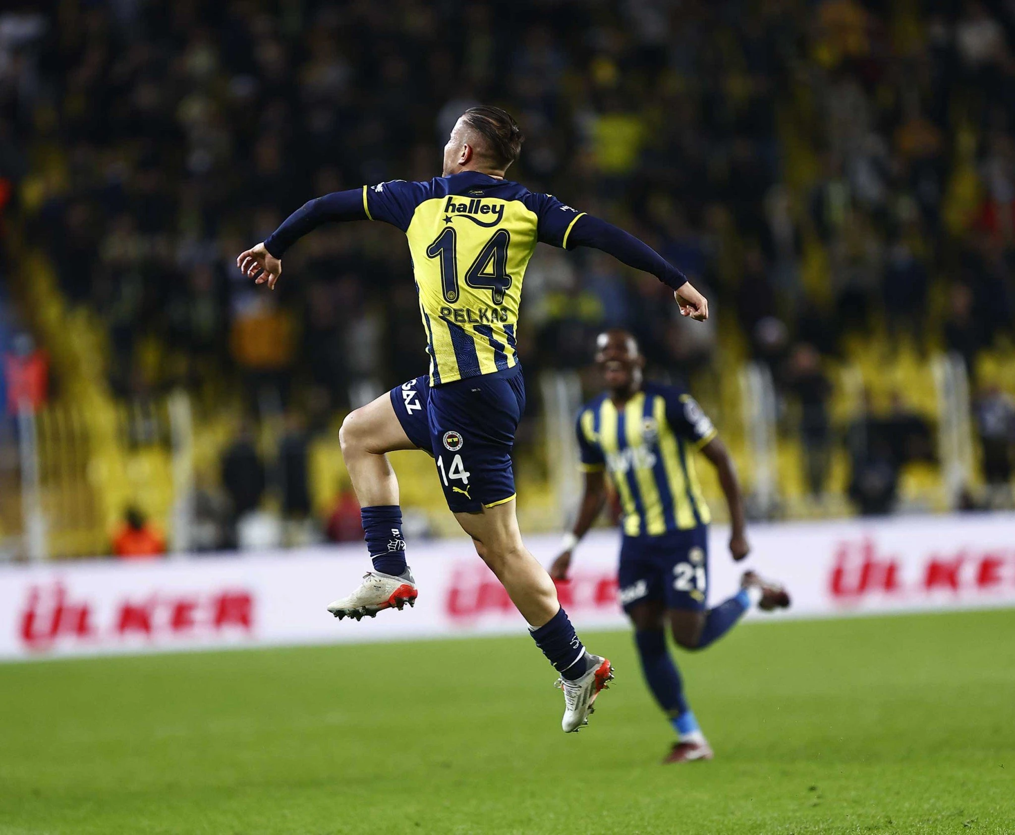 pelkas3-fener.jpg