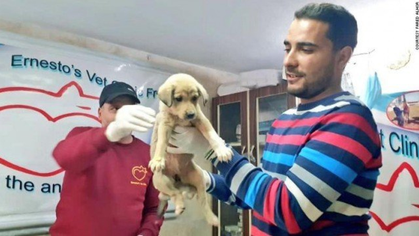 Συρία: Σώθηκε το κουτάβι που βρισκόταν μαζί με τον αρχηγό του ISIS