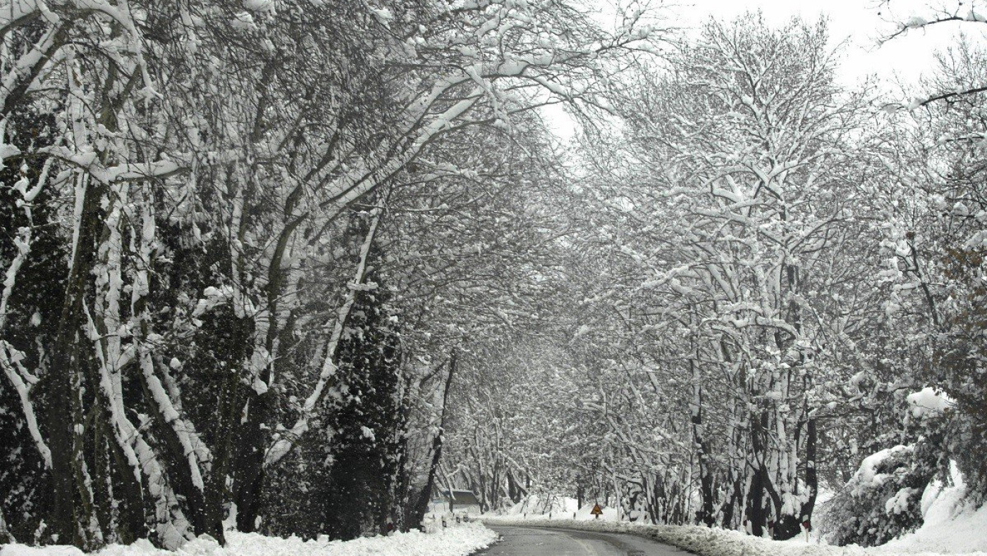 Χιονόπτωση τα ξημερώματα στη Χαλκιδική