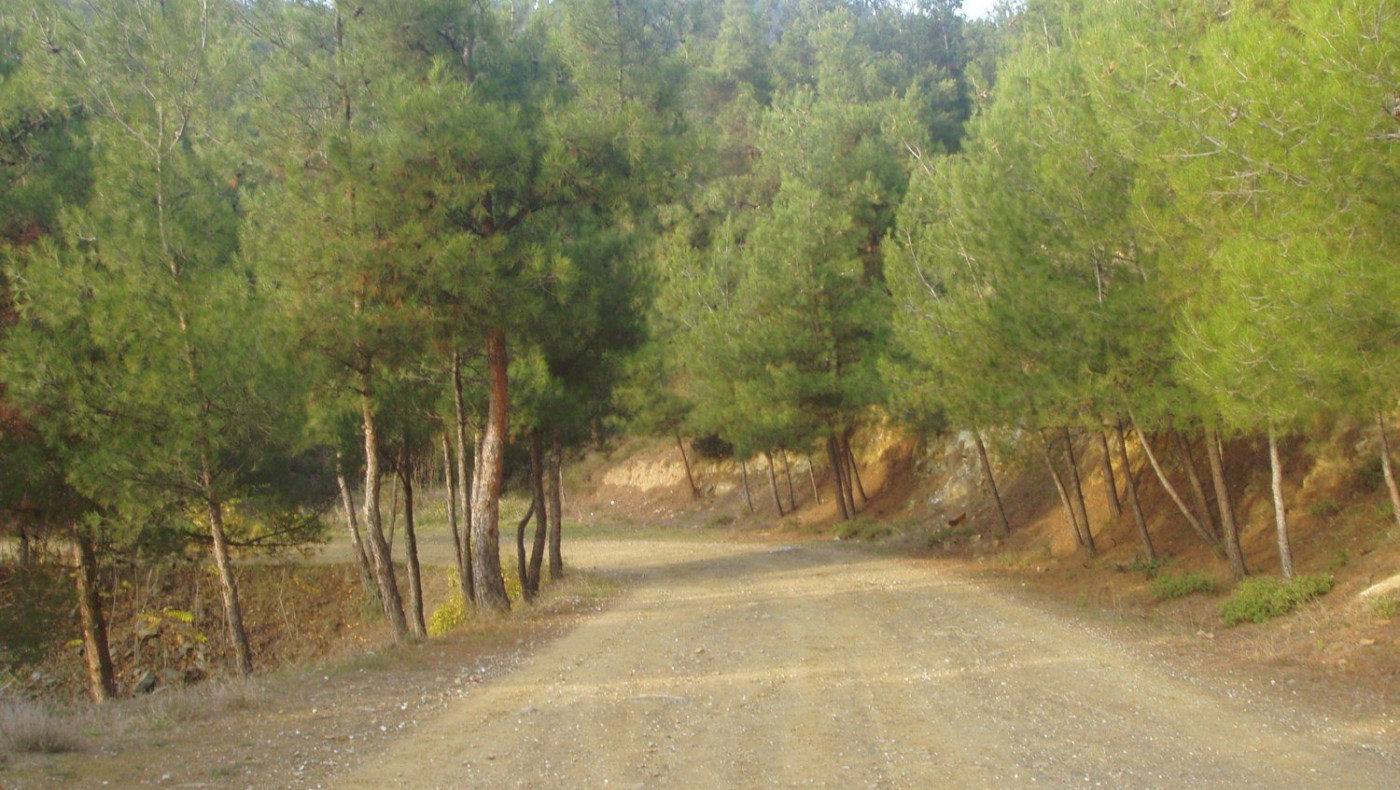 Ανακοίνωση για τις αγέλες σκύλων στο Σέιχ Σου