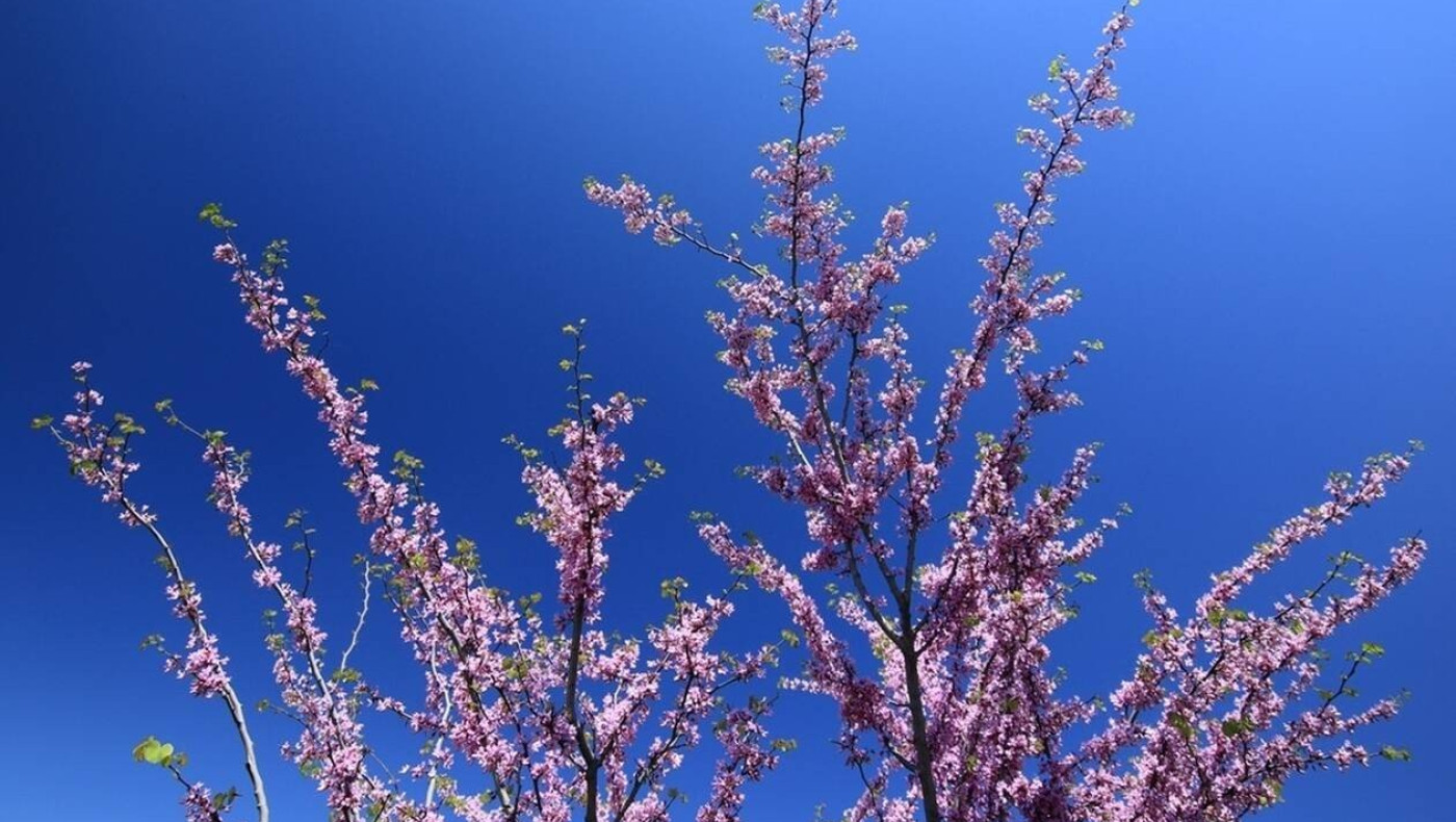Πάσχα με ήλιο και υψηλές θερμοκρασίες την Κυριακή του Πάσχα