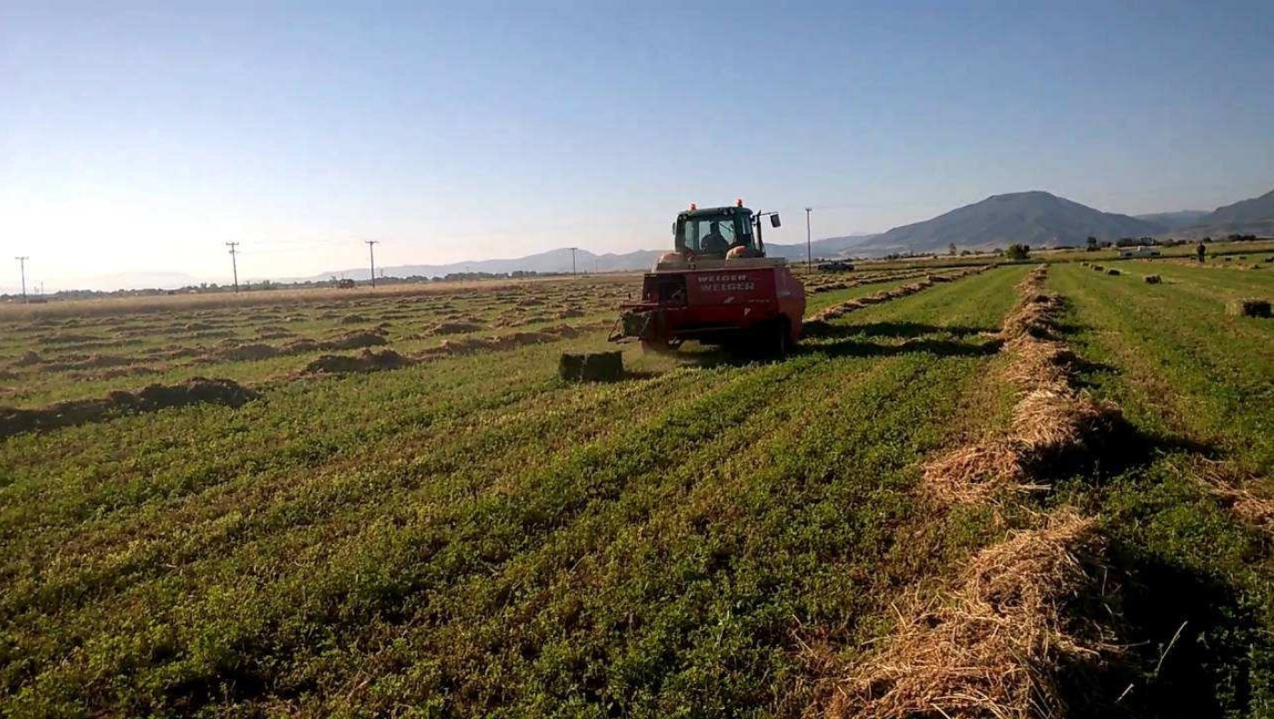 Αποζημιώσεις σε Πέλλα, Ημαθία και Χαλκιδική από τον ΕΛΓΑ