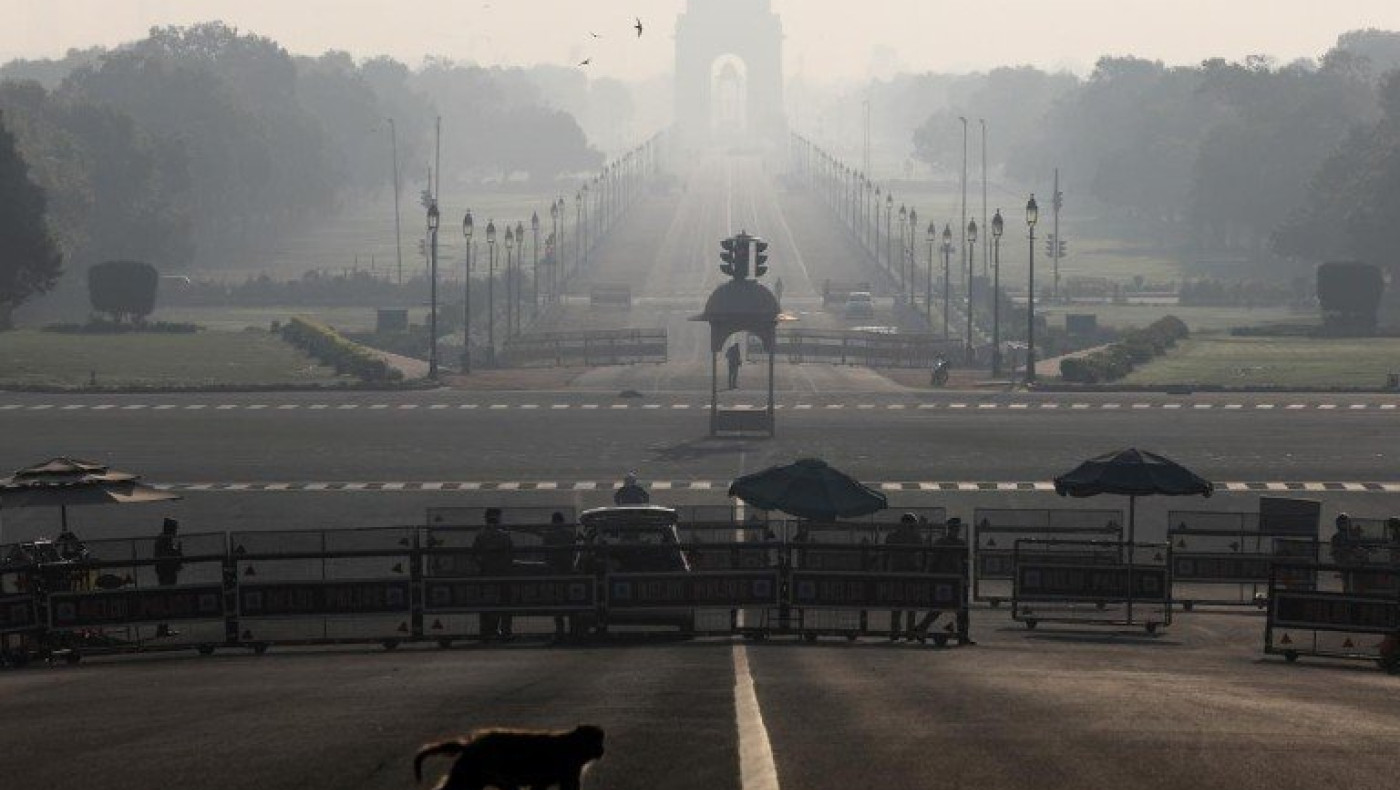 Ινδία: Πίθηκοι έκλεψαν δείγματα αίματος!