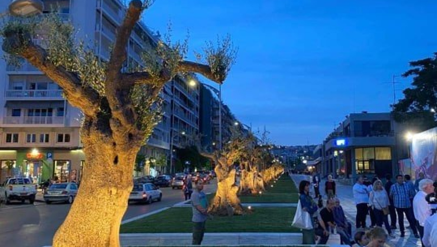 Παραδόθηκαν στους πολίτες της Θεσσαλονίκης οι αιωνόβιες ελιές της Αγγελάκη