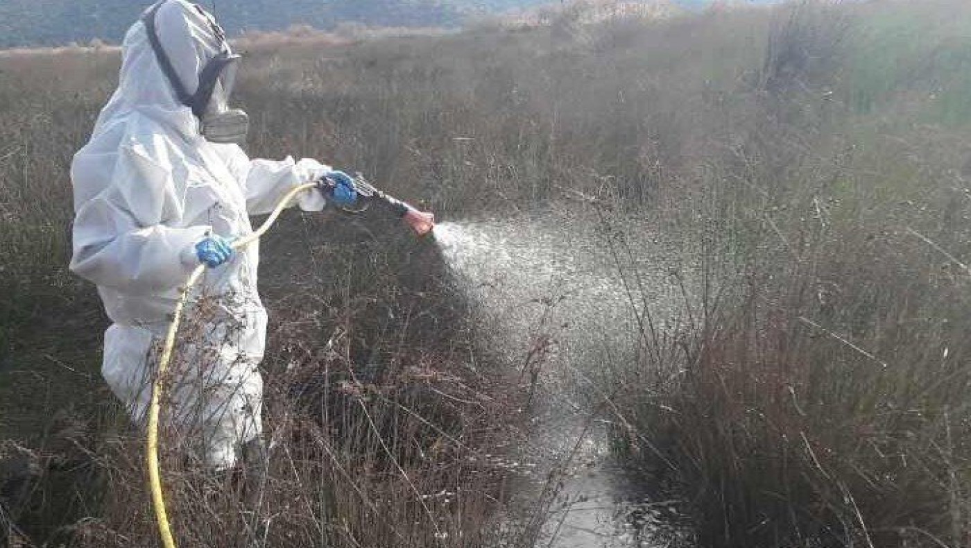 Ιός Δυτικού Νείλου: Εντατικοί ψεκασμοί σε περιοχές του νομού Σερρών