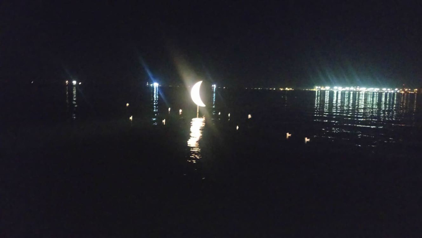 Πάπιες στο μισοφέγγαρο του Θερμαϊκού!