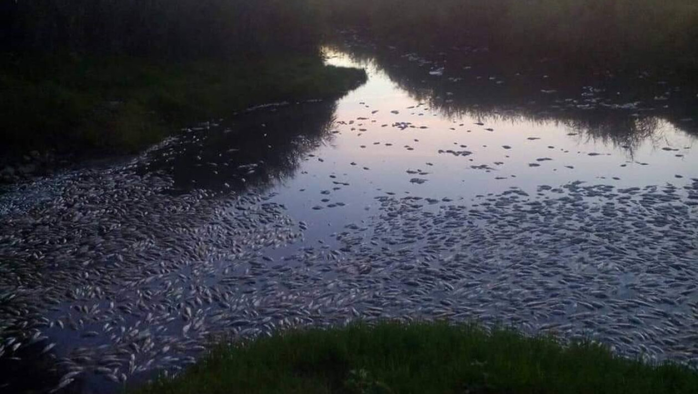 Εικόνες σοκ και τεράστια οικολογική καταστροφή στην Ξάνθη