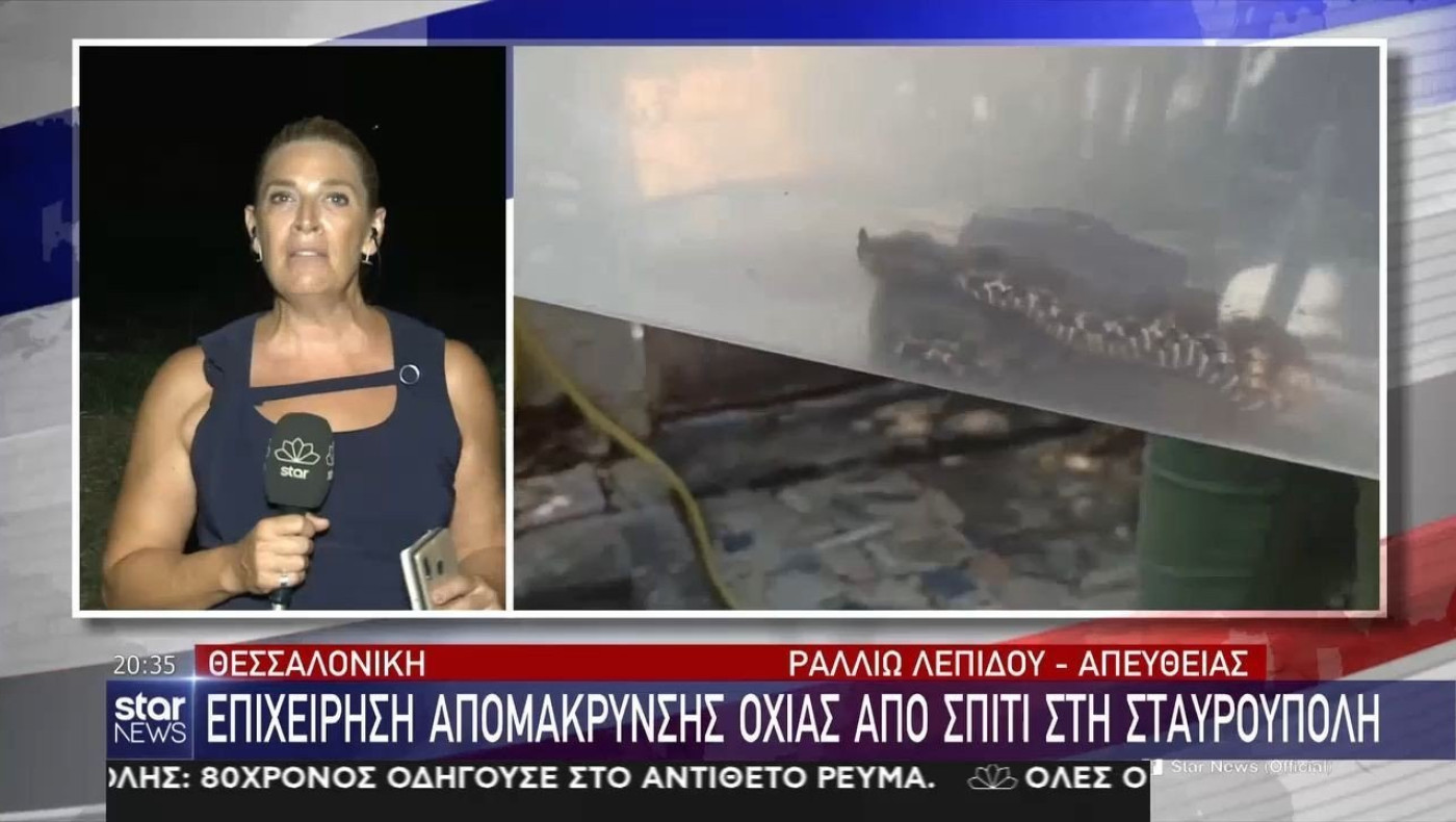 Θεσσαλονίκη: Οχιά σε σπίτι στη Σταυρούπολη!