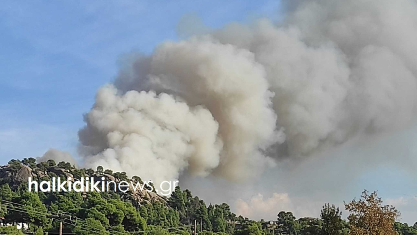 Φωτιά στη Χαλκιδική – Καίγεται πευκοδάσος στη Νικήτη!
