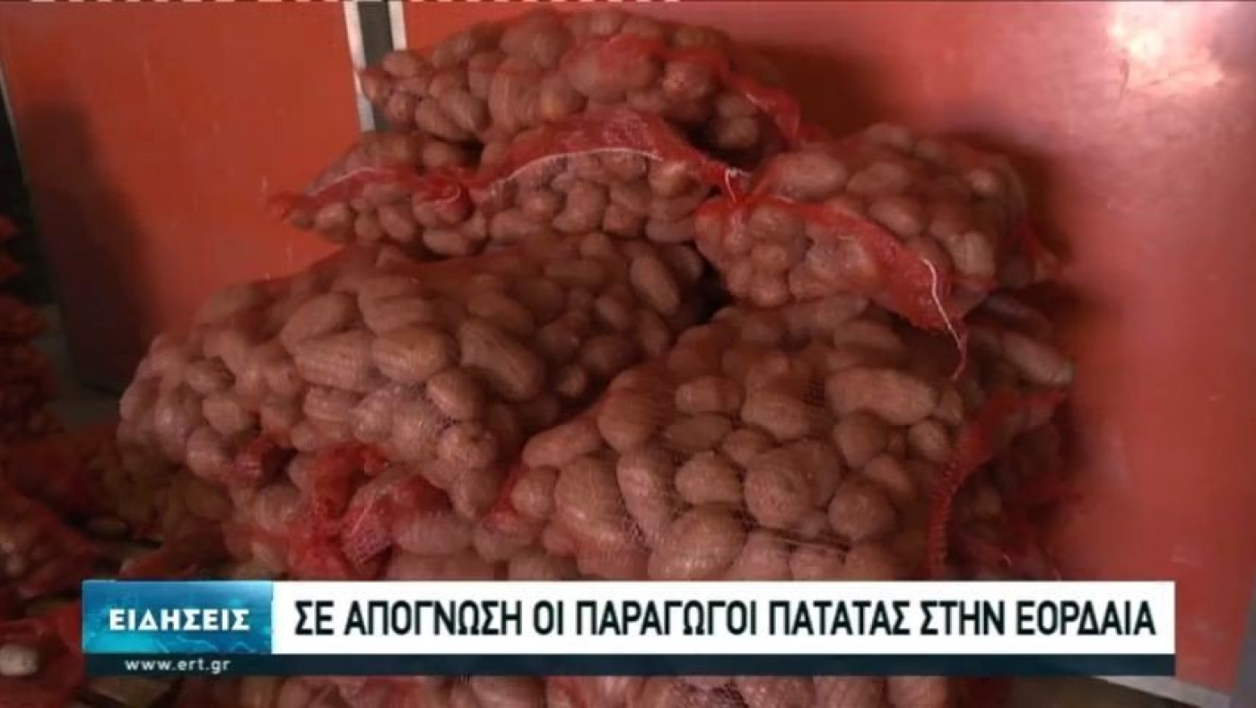 Σε απόγνωση οι παραγωγοί πατάτας στην Εορδαία