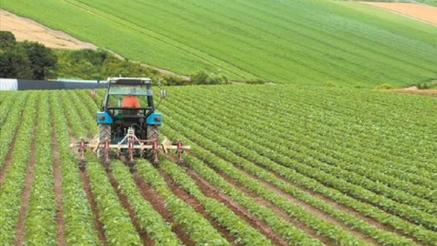 Αγρότες: 800 εκατ. ευρώ στους λογαριασμούς τους ως το τέλος του χρόνου