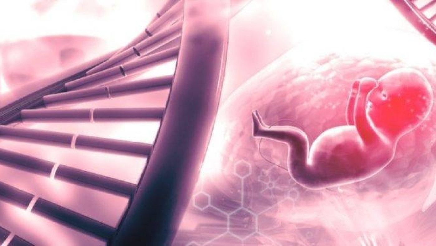 Εμβόλια και ιστοί εμβρύων: Τι πραγματικά ισχύει