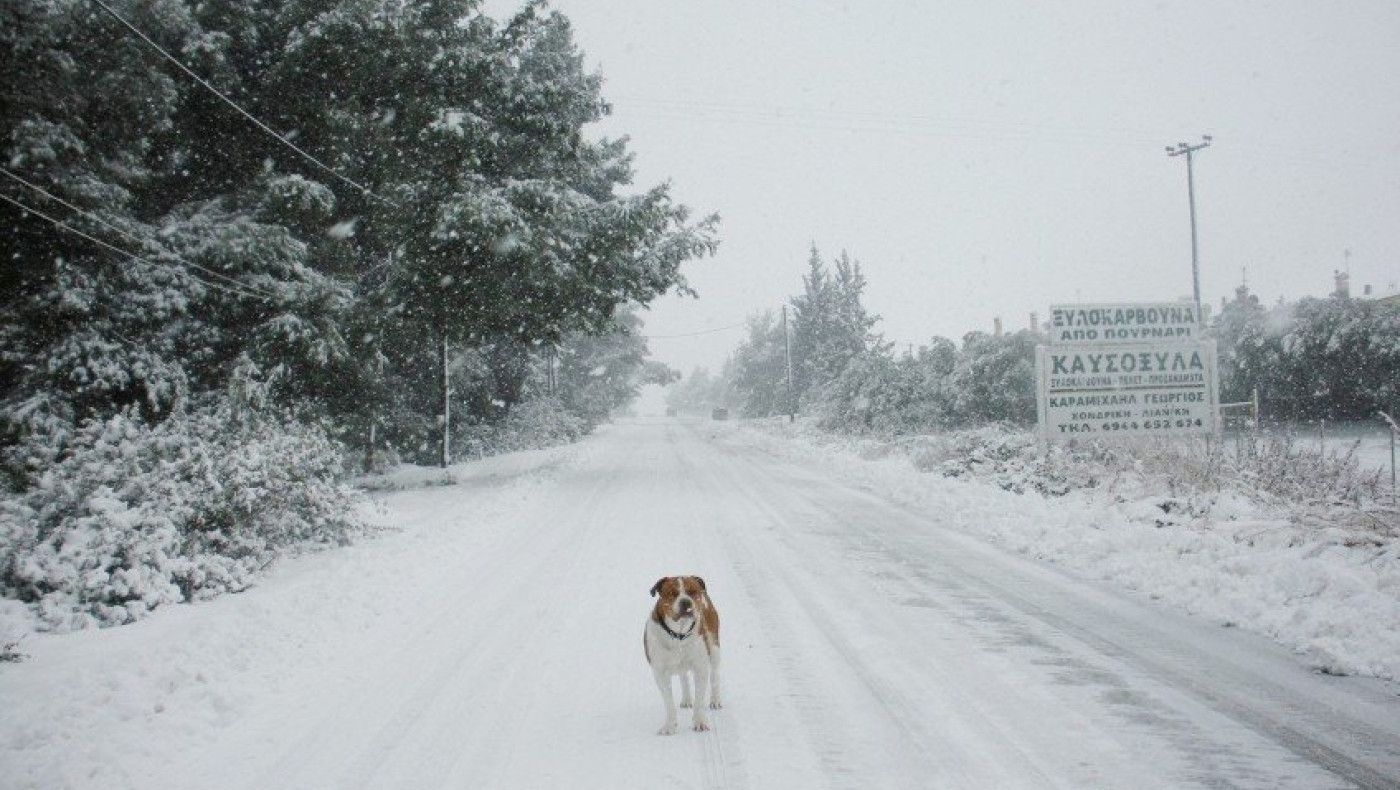 Τρίτο κύμα κακοκαιρίας - Πυκνές χιονοπτώσεις από το βράδυ στη Χαλκιδική