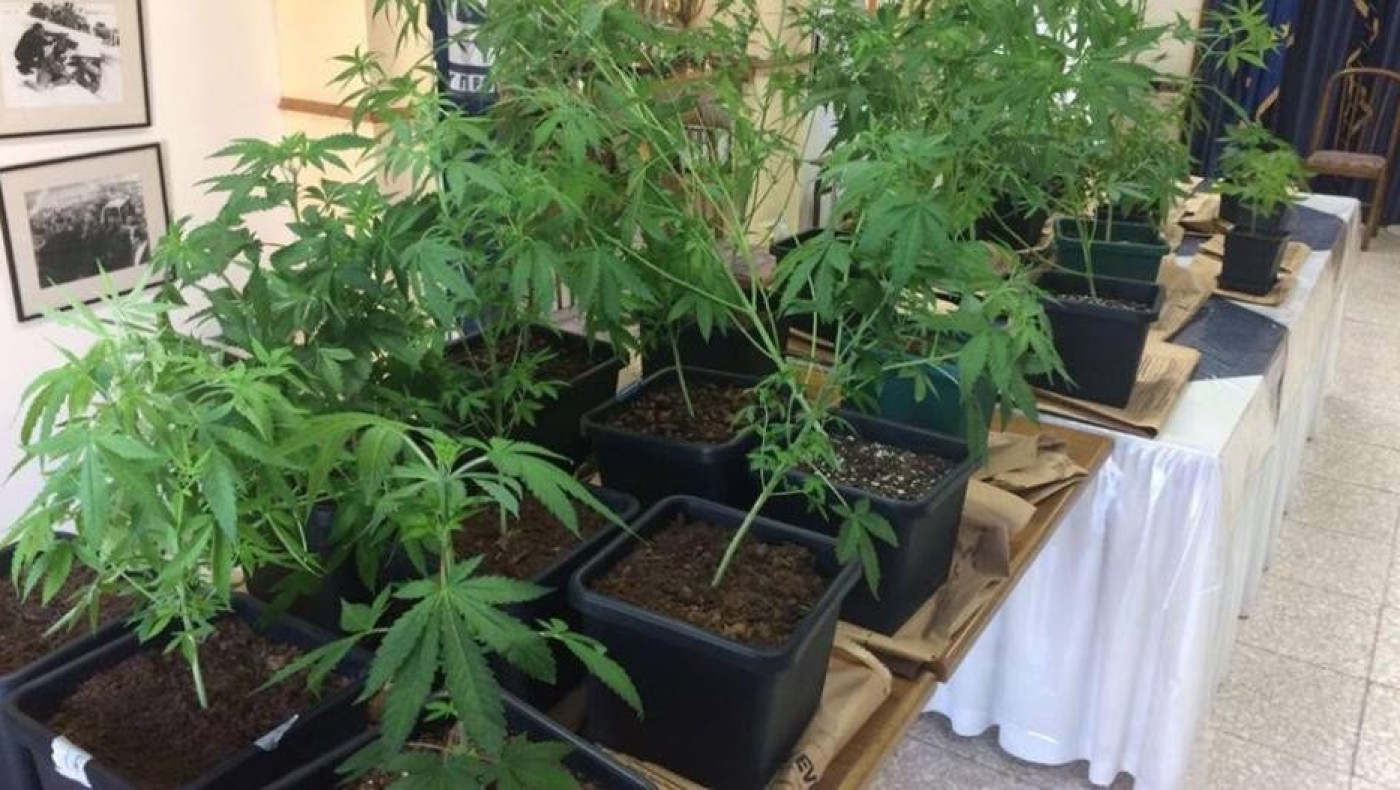 Σέρρες: Η ντουλάπα οδηγούσε σε... υπόγειο φυτώριο κάνναβης