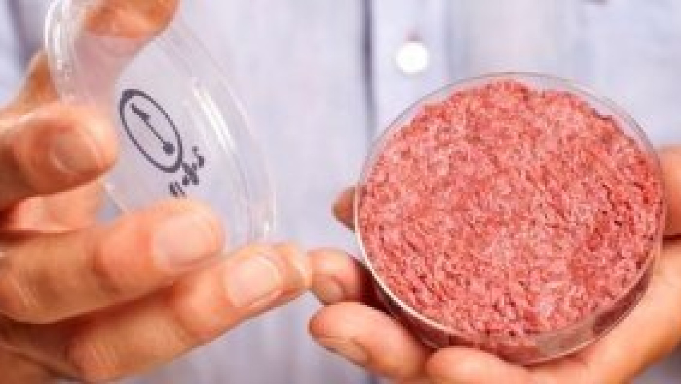 Μπιλ Γκέιτς: «Σύντομα θα επιβληθεί το συνθετικό κρέας, θα το συνηθίσετε...»