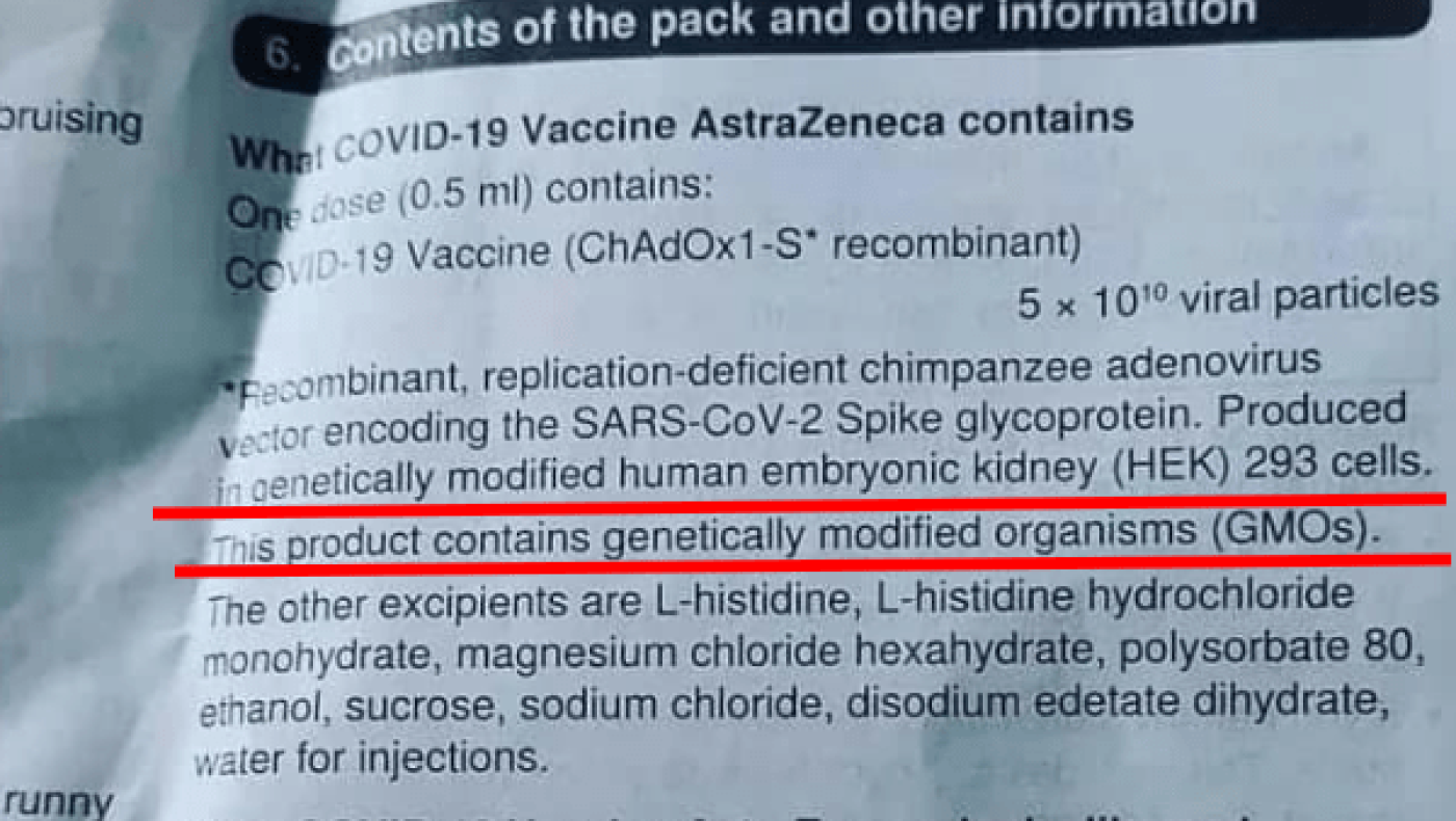 Ας μιλήσουμε λίγο για τα Γενετικά Τροποποιημένα Προϊόντα!