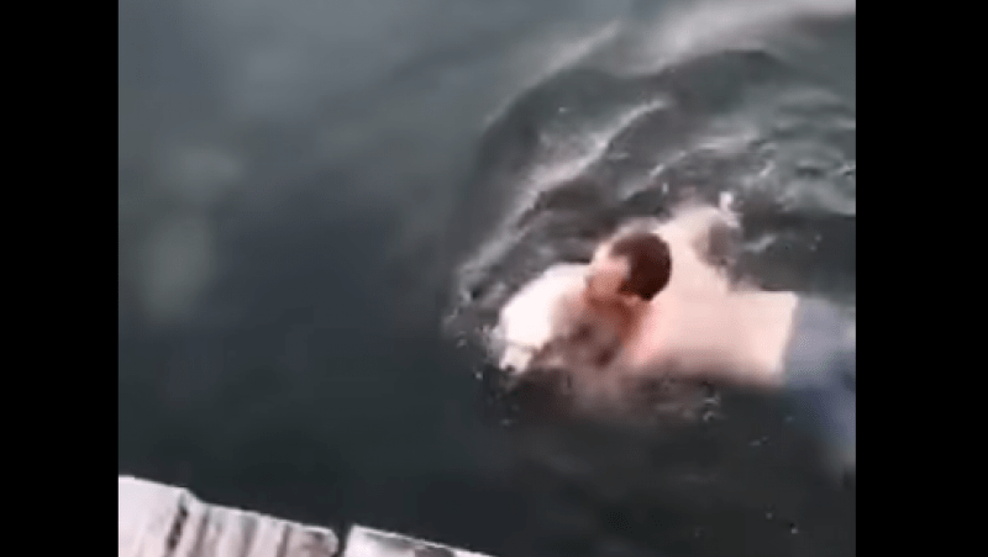 Θεσσαλονίκη: Βούτηξε στον Θερμαϊκό για να σώσει σκύλο!