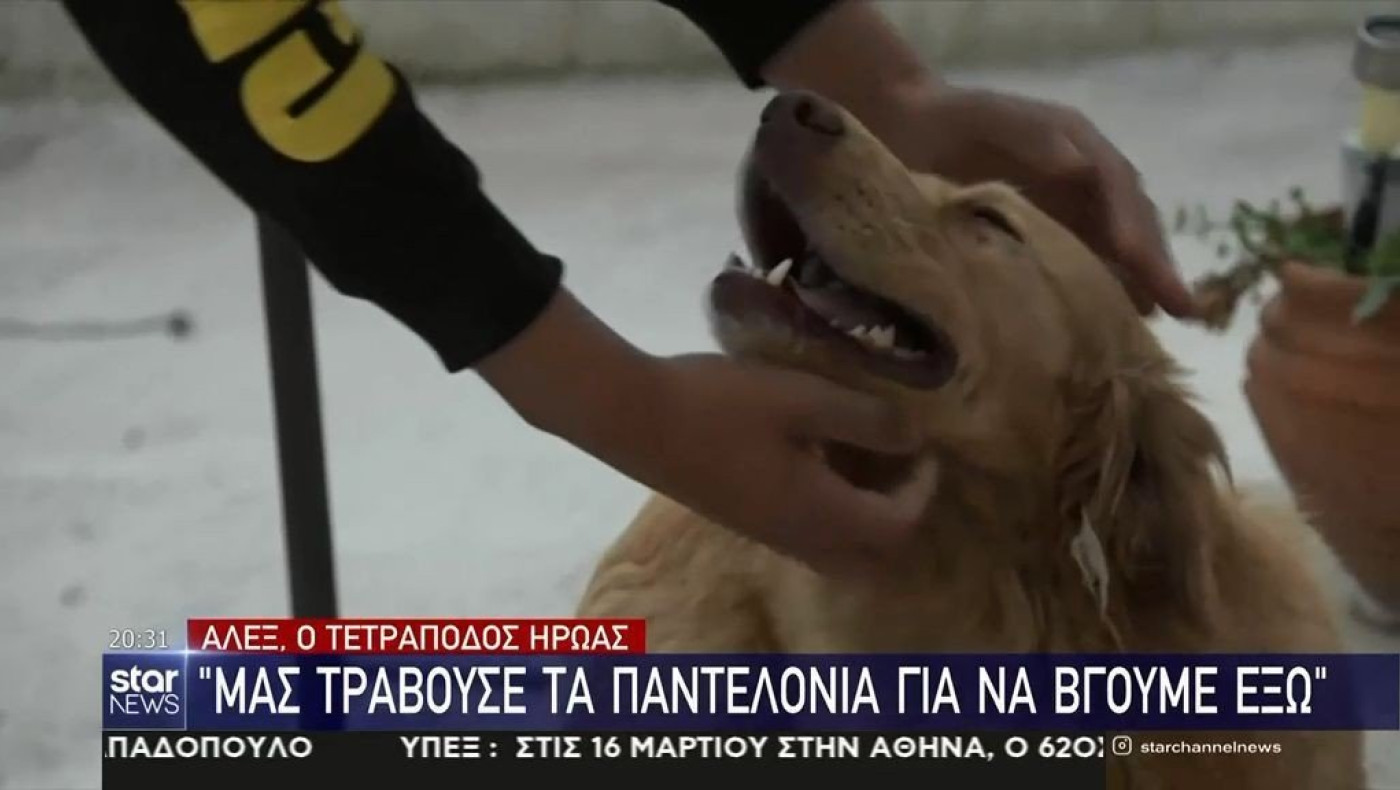 ΣΥΓΚΙΝΗΤΙΚΟ: Ο σκύλος που έσωσε τα αφεντικά του από τον σεισμό