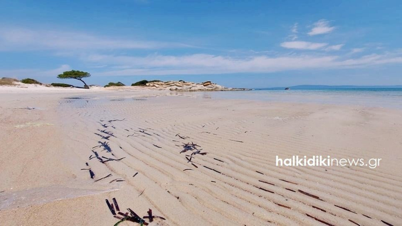 «Τι συνέβη με την άμπωτη στο Καρύδι - Όλα θα είναι στο πικ μέσα στον Μάιο»