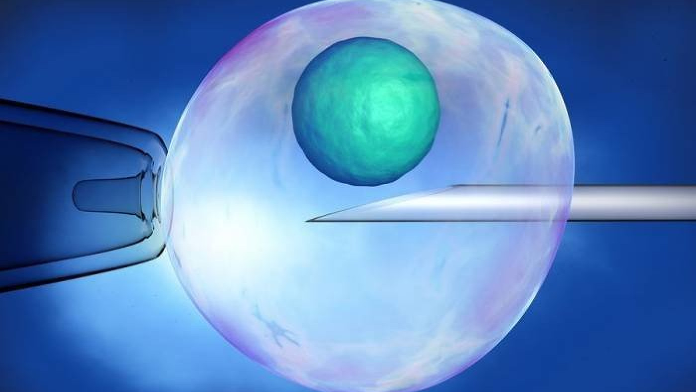 Εξωσωματική γονιμοποίηση: Η Ελλάδα στο επίκεντρο του ιατρικού τουρισμού 