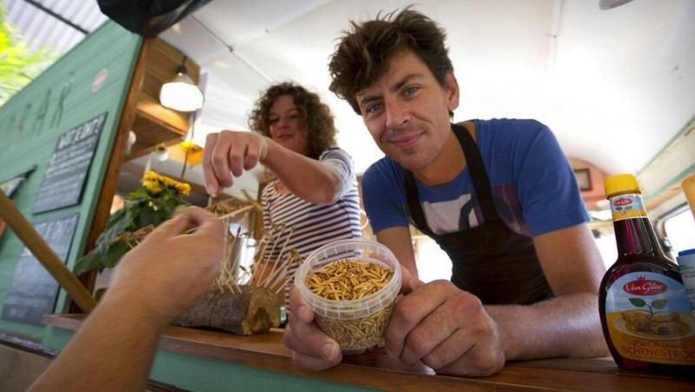 Ευρωπαϊκή Ένωση: Νέα τροφή τα σκουλήκια!