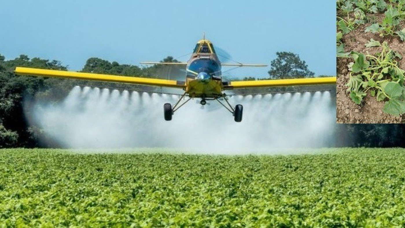 Έβρος: Ψεκάζουν με επικίνδυνα φυτοφάρμακα οι Τούρκοι, καταστρέφουν καλλιέργειες