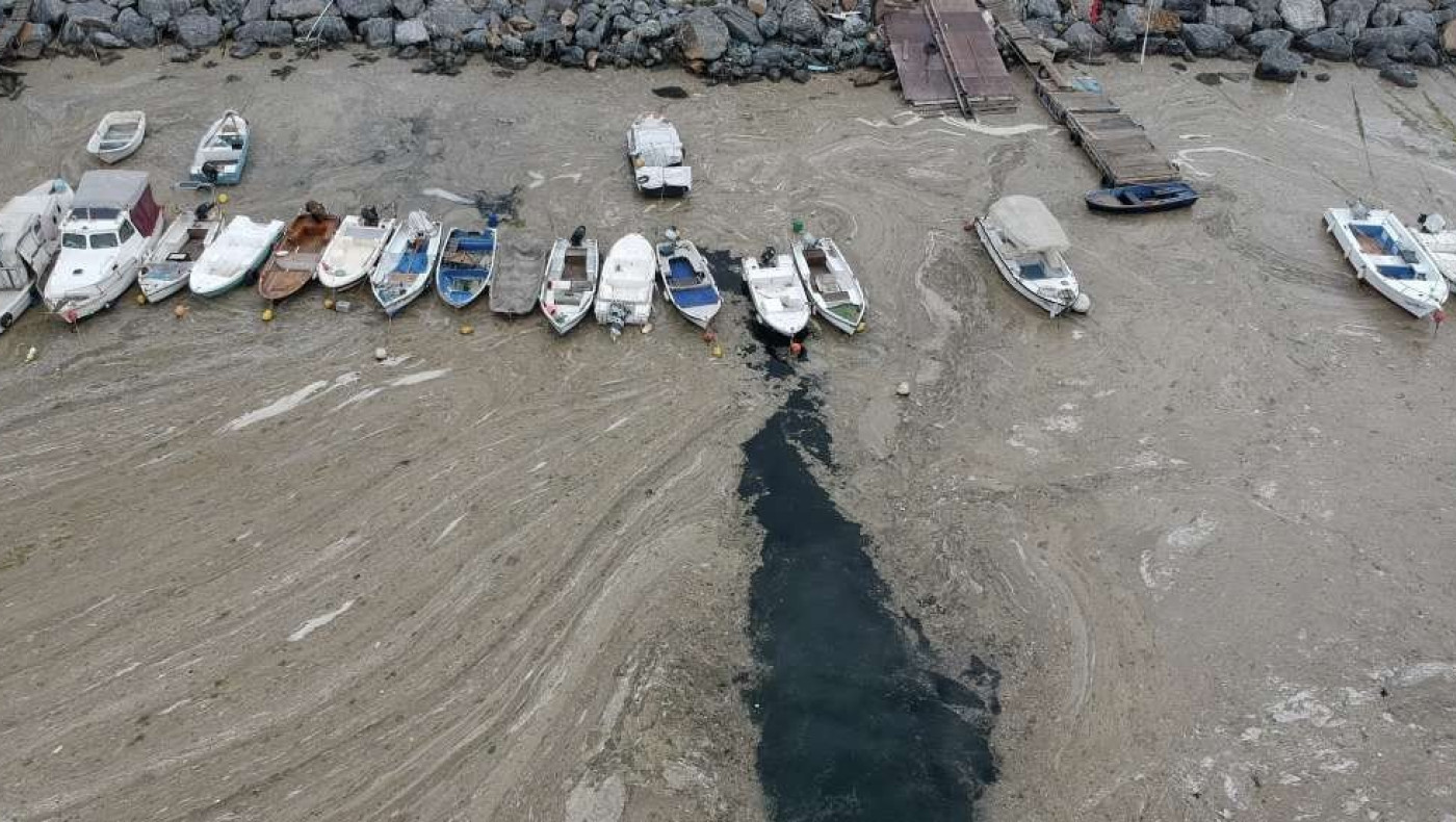 Μαρμαράς: Σε επιδημιολογική «βόμβα» εξελίσσεται η βλέννα στην θάλασσα