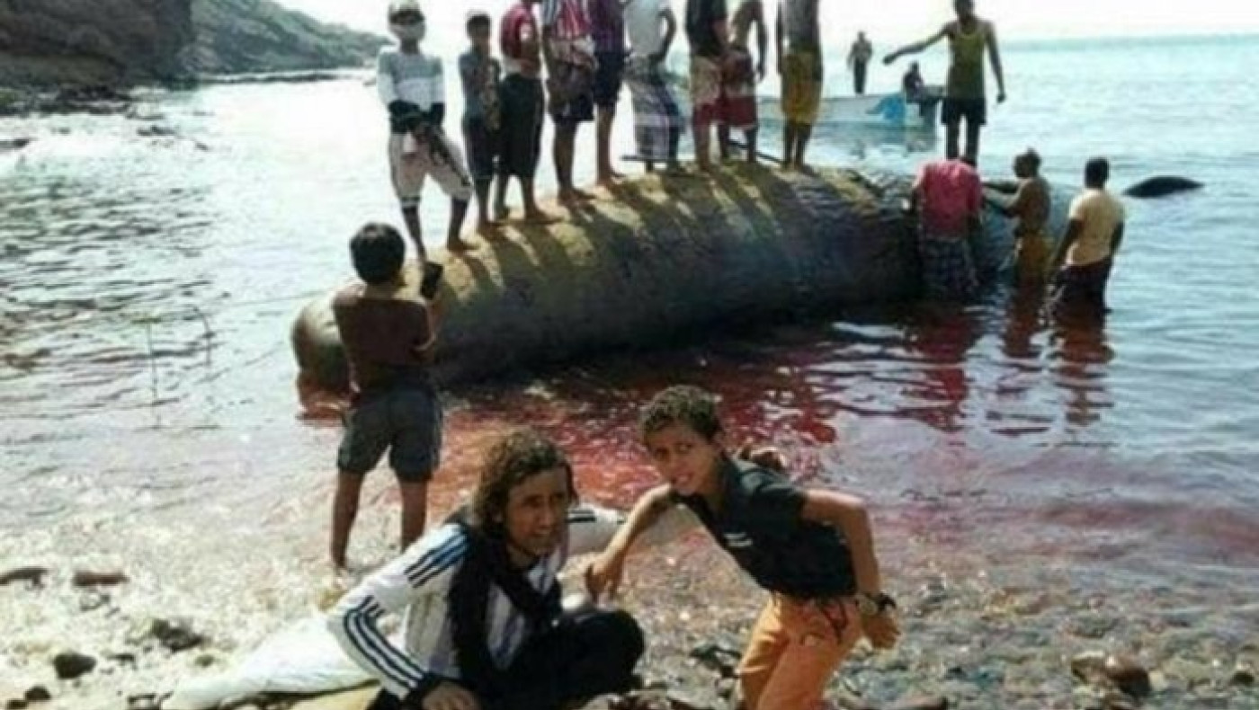 ΤΡΟΜΕΡΟ: Έγιναν ζάμπλουτοι φτωχοί ψαράδες που αλίευσαν φάλαινα με… θησαυρό 1,5 εκ.!