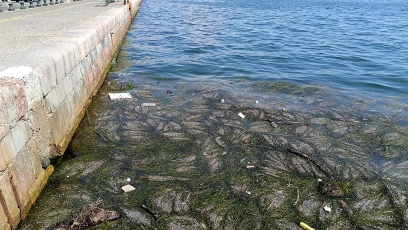 Θεσσαλονίκη: Γέμισε σκουπίδια ο Θερμαϊκός