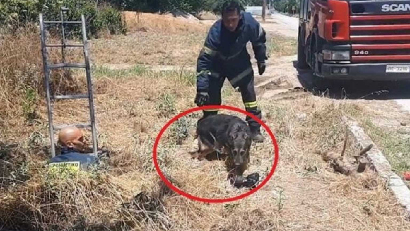 VIDEO - Θεσσαλονίκη: Πυροσβέστες έσωσαν σκύλο που έπεσε σε φρεάτιο