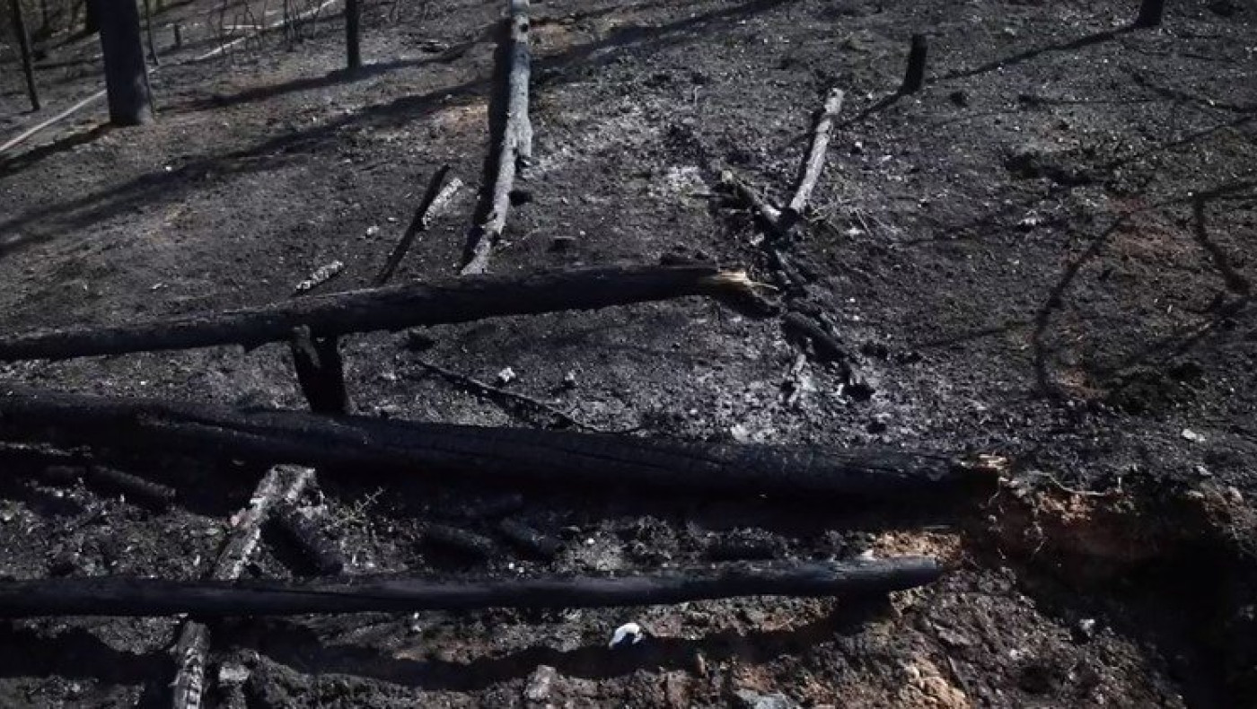 Η επόμενη ημέρα μετά τη μεγάλη φωτιά στο Σέιχ Σου