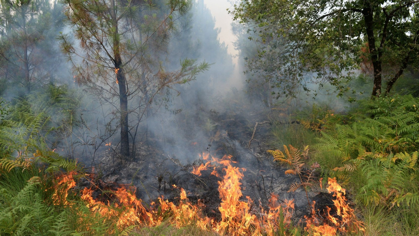 Φωτιά σε χορτολιβαδική έκταση στο Πλαγιάρι της Θεσσαλονίκης