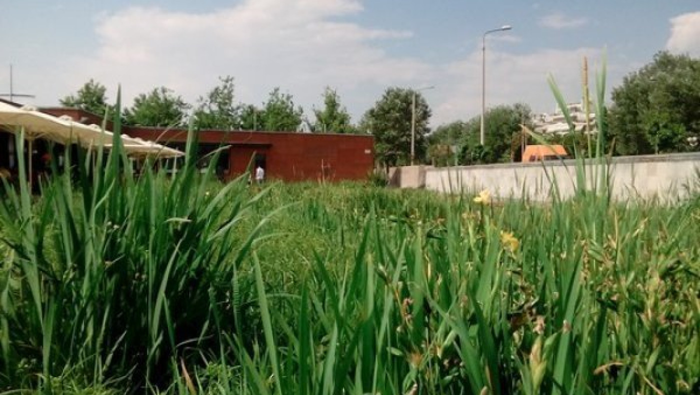 Ζούγκλα ο «Κήπος του νερού» στην παραλία της Θεσσαλονίκης (ΦΩΤΟ)