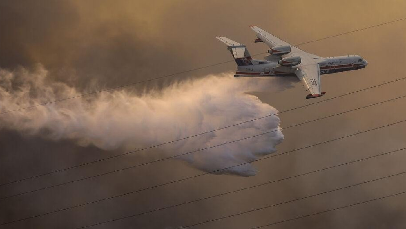 Δασολόγοι: Επιεικώς ανεπαρκής ο Χαρδαλιάς