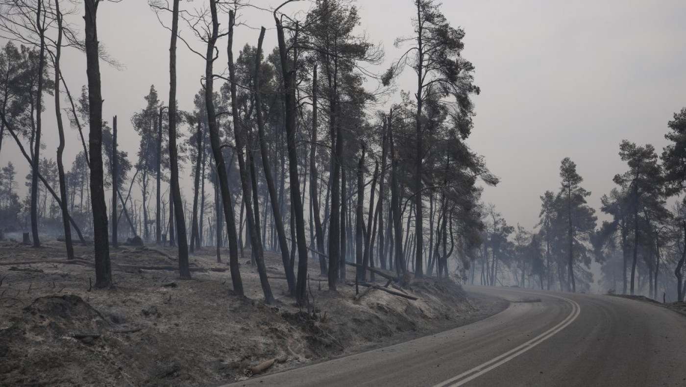 Φωτιά στην Ηλεία: Νέο μήνυμα από το 112 για εκκένωση περιοχών