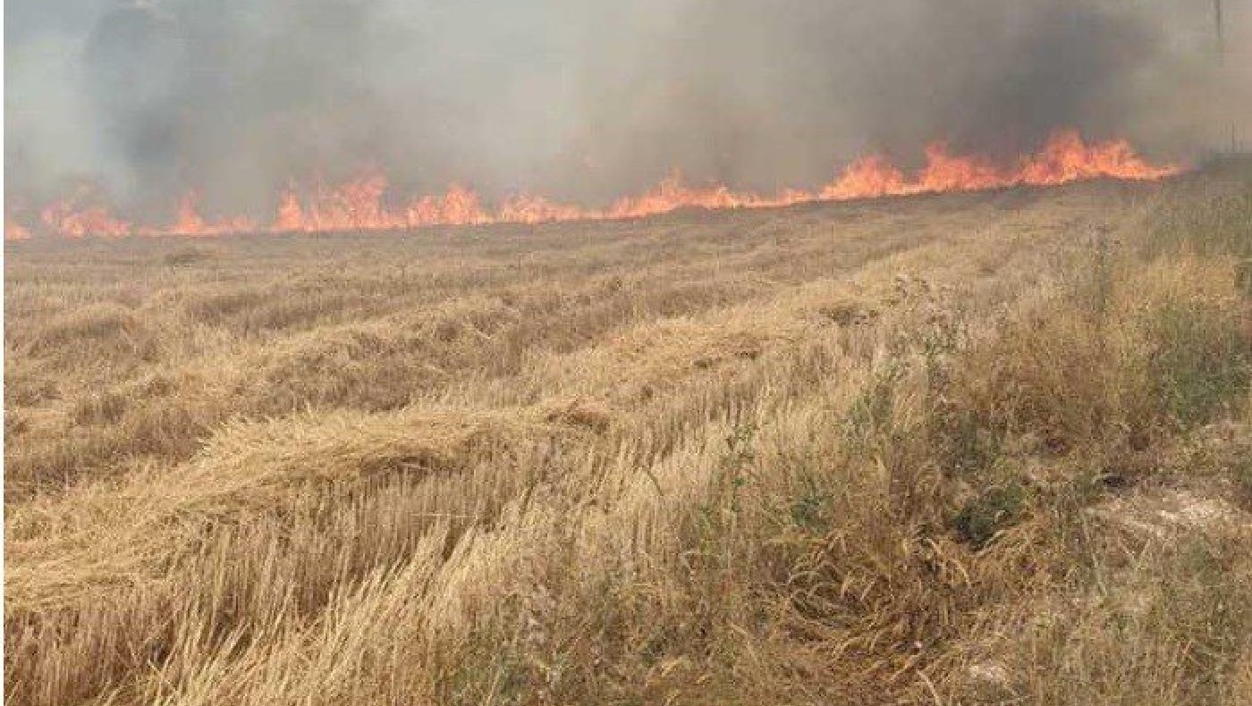 Κοζάνη: Διαρκής «μάχη» με την πυρκαγιά στη Ζωοδόχο Πηγή!