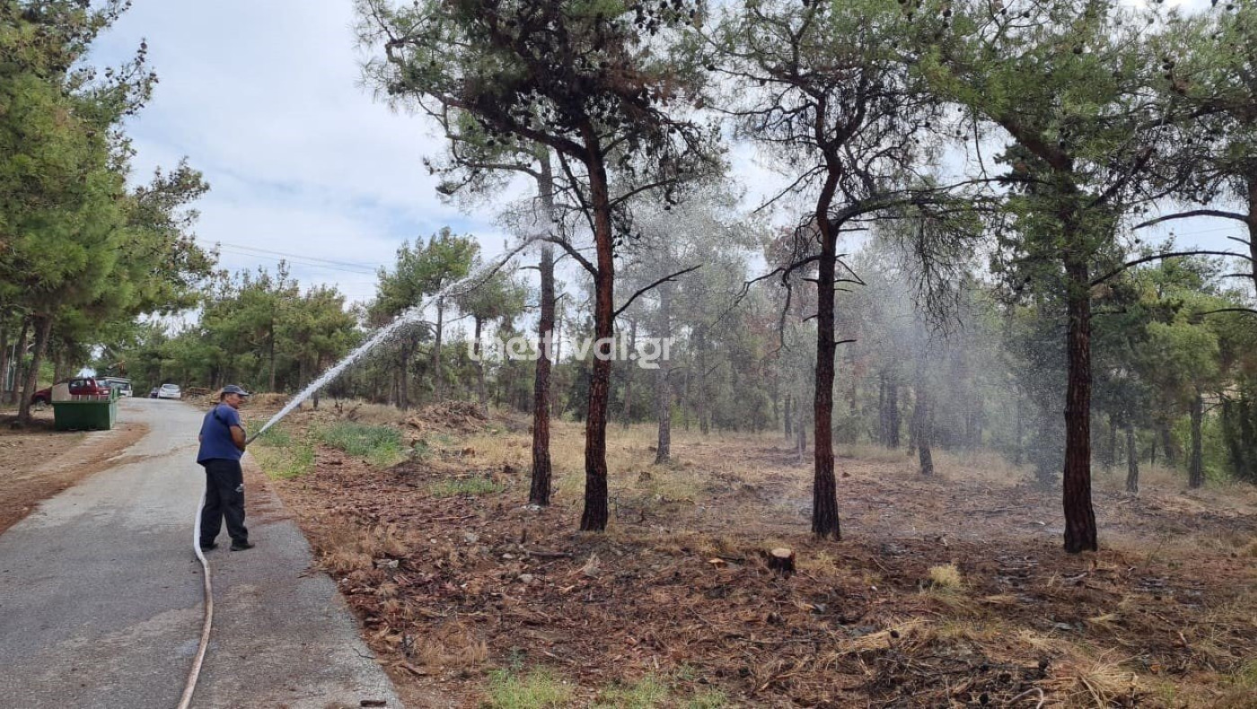 Προληπτικές διαβροχές στο Σέιχ Σου – Απομακρύνονται ξερά κλαδιά
