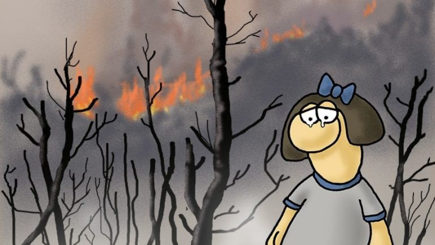 Γροθιά στο στομάχι: Το σκίτσο του Αρκά για τις πυρκαγιές