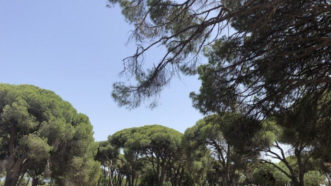 Δήμος Λαγκαδά: Σύσκεψη για τις δασικές πυρκαγιές -Τι αποφασίστηκε