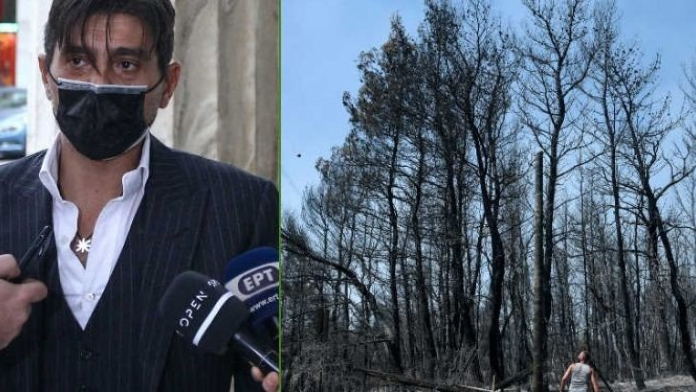 Γιαννακόπουλος: «Η χοντρή κομπίνα είναι στην αναδάσωση, ζούμε τον πόλεμο των κλώνων»