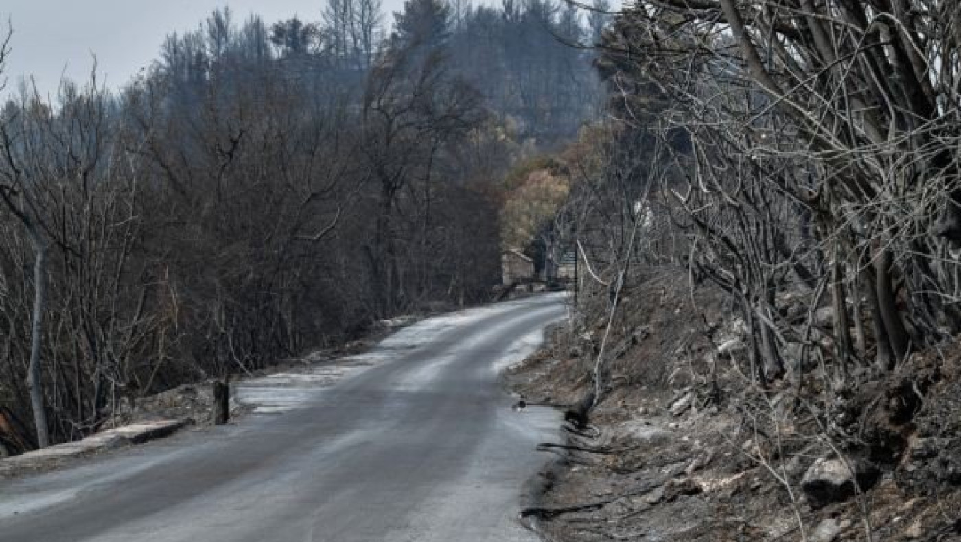 Αυξημένη κατά 450% η καμένη έκταση στην Ελλάδα σύμφωνα με το meteo