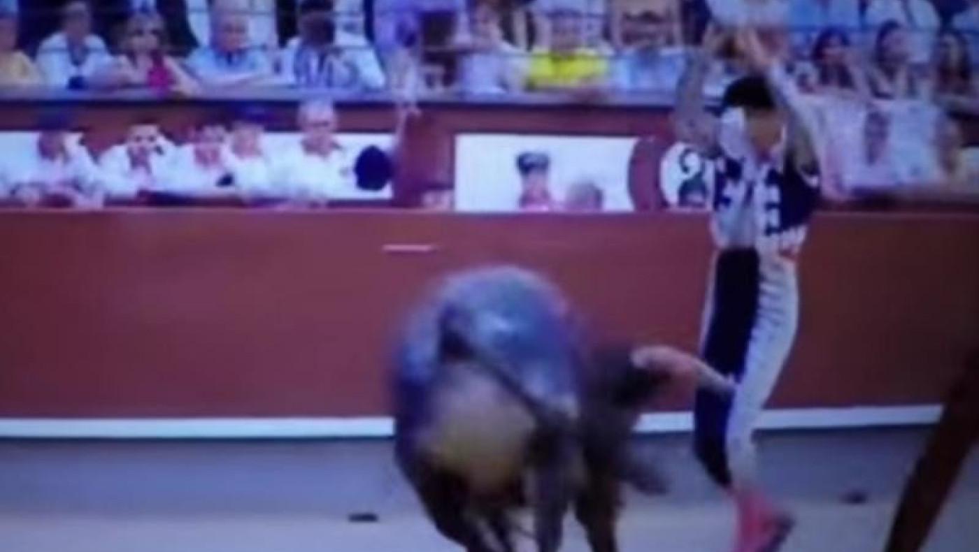 Ο ταύρος πήρε την εκδίκησή του και ο ταυρομάχος έχασε τον αριστερό του... όρχη!