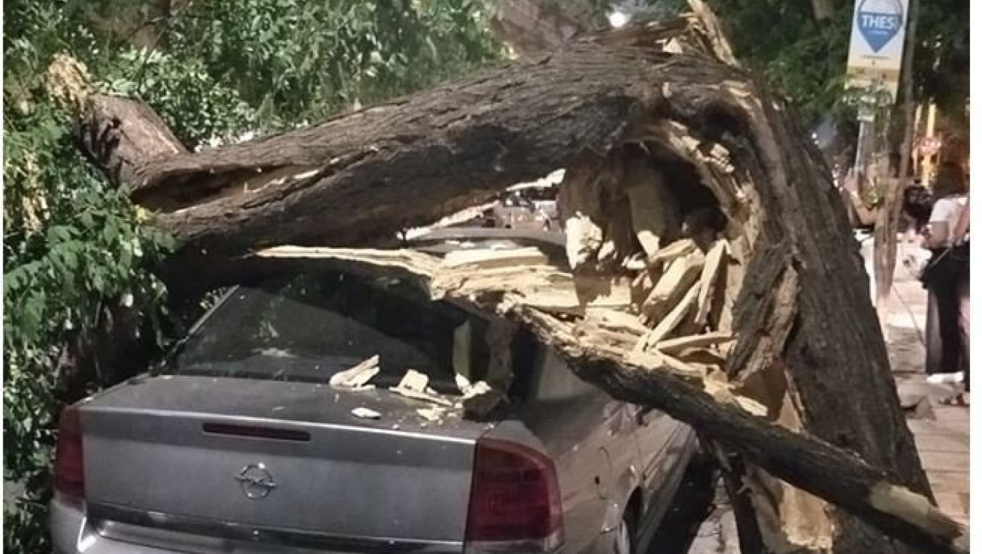 Θεσσαλονίκη: Δέντρο έπεσε πάνω σε αυτοκίνητο στη ρωμαϊκή αγορά