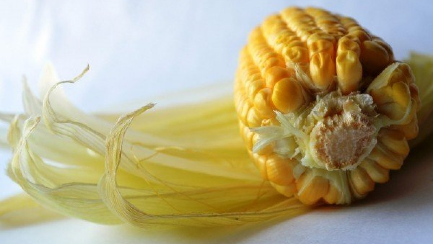 Κορωνοϊός: Ποια τρόφιμα μειώνουν τα σταγονίδια όταν φτερνιζόμαστε