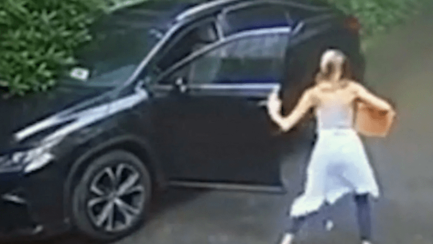 ΤΡΟΜΟΣ: Πήγε να μπει στο αμάξι της και βρήκε αρκούδα στη θέση του οδηγού