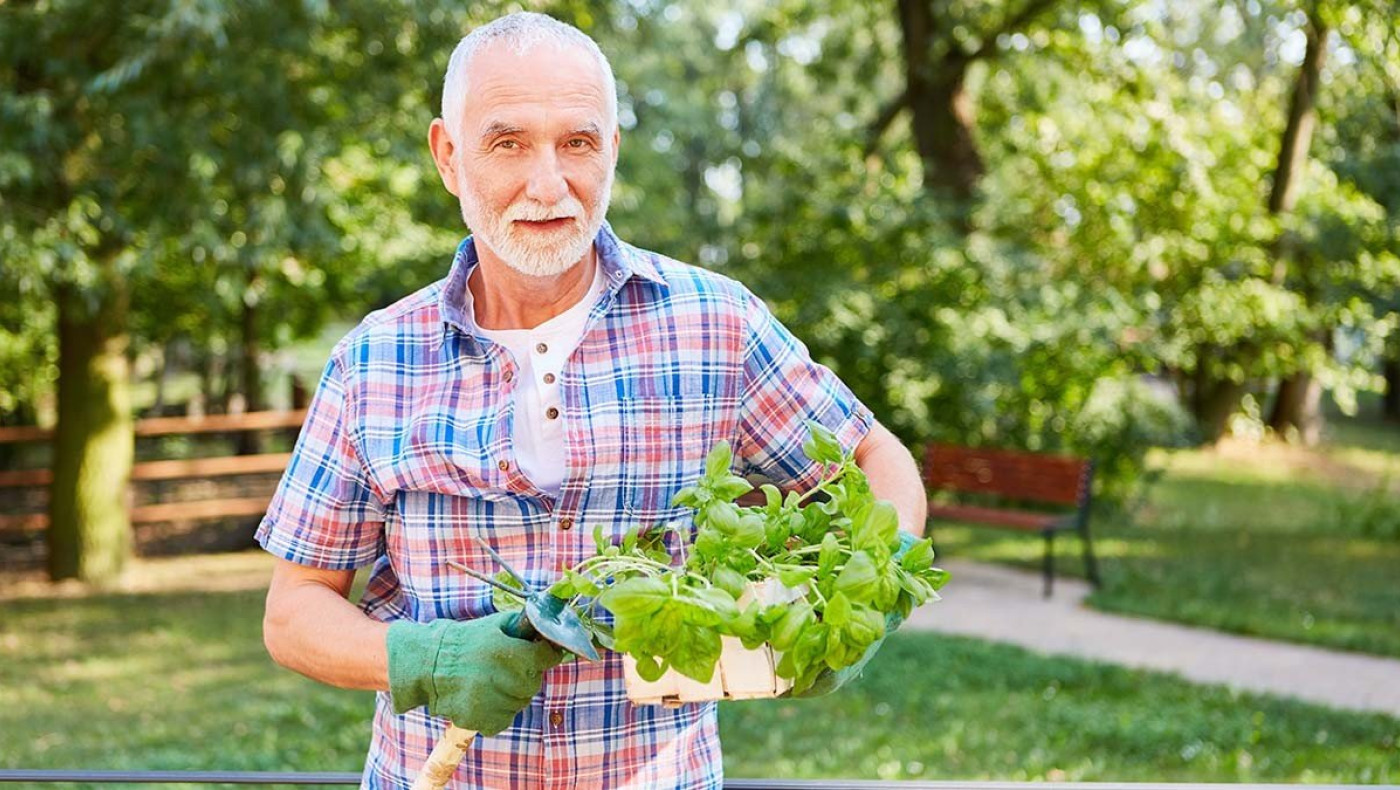 Ποια βιταμίνη μπορεί να προστατεύσει τον εγκέφαλο από τη νόσο Αλτσχάιμερ
