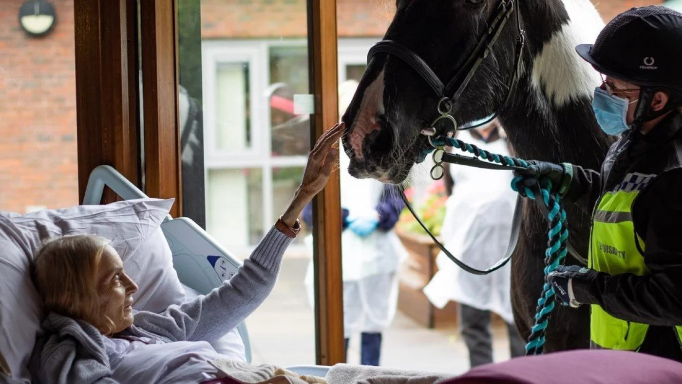 Συγκινητικό: Ετοιμοθάνατη γυναίκα αγκαλιάζει το αγαπημένο της άλογο