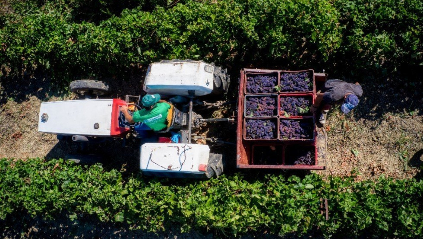 Αγροτικές επιδοτήσεις: Δικαιούχοι καταγγέλουν ότι εξαιρέθηκαν από την προκαταβολή