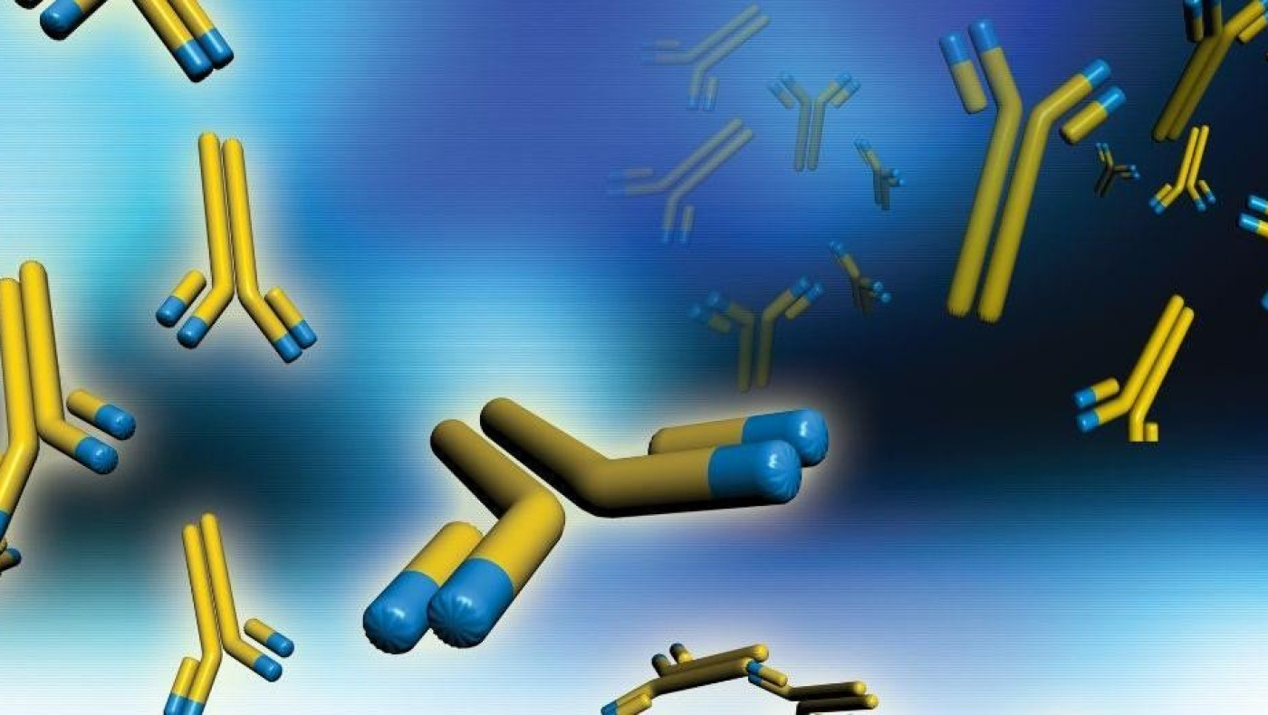 Κορωνοϊός-Μονοκλωνικά αντισώματα: Ξεκινάει την Παρασκευή η χορήγησή τους στην Ελλάδα